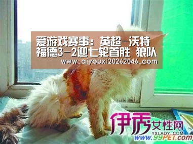 爱游戏赛事:英超-沃特福德3-2迎七轮首胜 狼队2-0夺三连胜(图1) 爱游戏百家乐