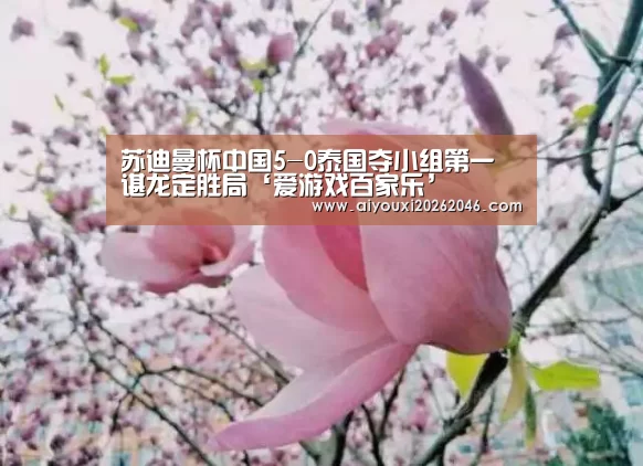 苏迪曼杯中国5-0泰国夺小组第一 谌龙定胜局‘爱游戏百家乐’(图2) 爱游戏竞猜