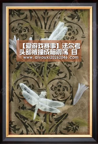 【爱游戏赛事】法尔考头部被撞成脑震荡 目前正在医院承受反省(图1) 爱游戏百家乐