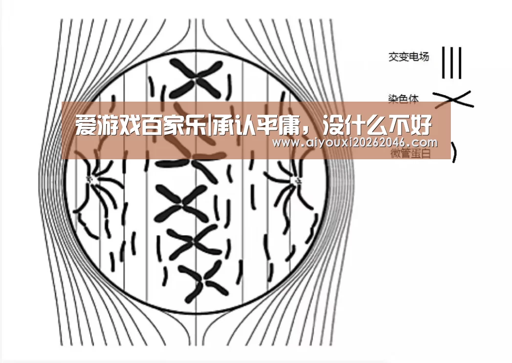 爱游戏百家乐|承认平庸,没什么不好(图2) 爱游戏竞猜