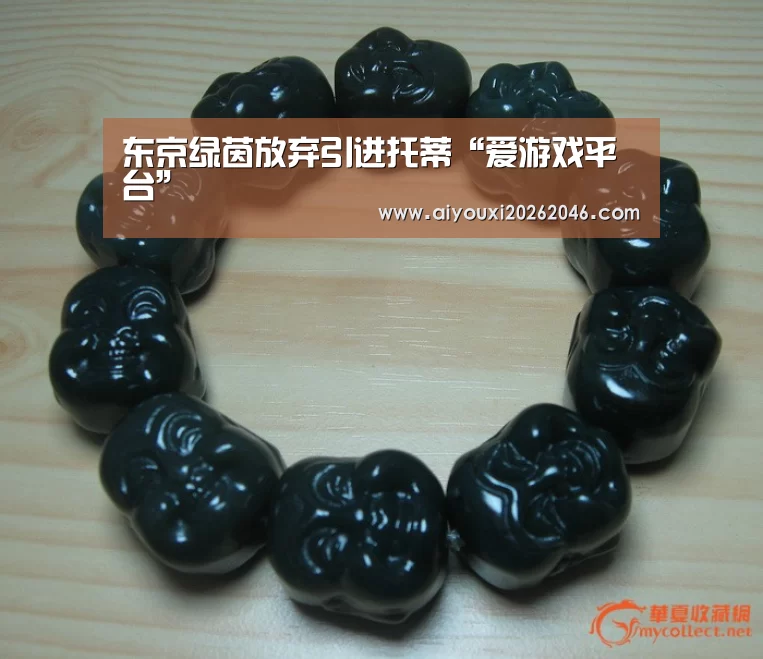 东京绿茵放弃引进托蒂“爱游戏平台”(图2) 爱游戏百家乐