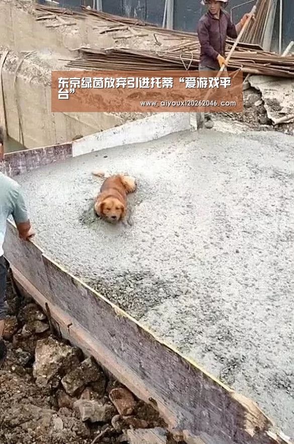 东京绿茵放弃引进托蒂“爱游戏平台”(图4) 爱游戏竞猜