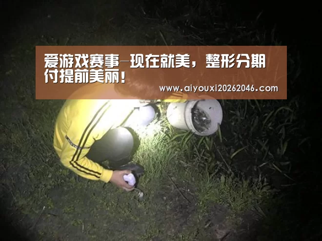 爱游戏赛事-现在就美,整形分期付提前美丽!(图1) 爱游戏平台